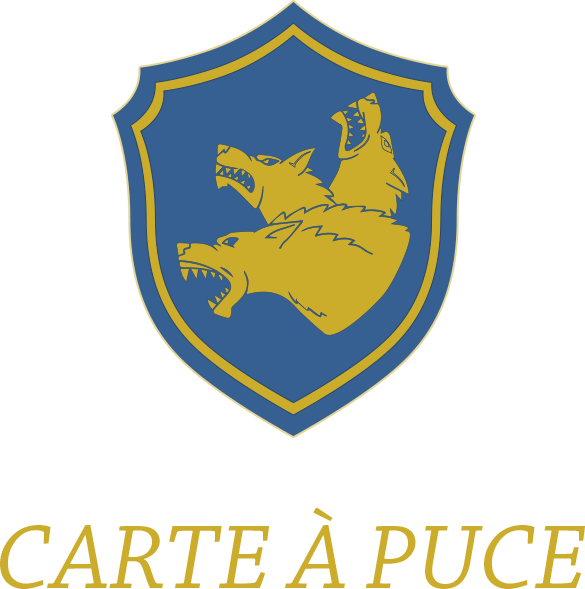 Sécurité Carte à Puce